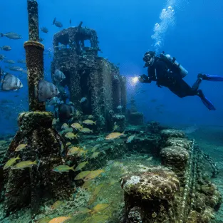 midshore diving